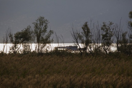 Bolle di Magadino (CH)